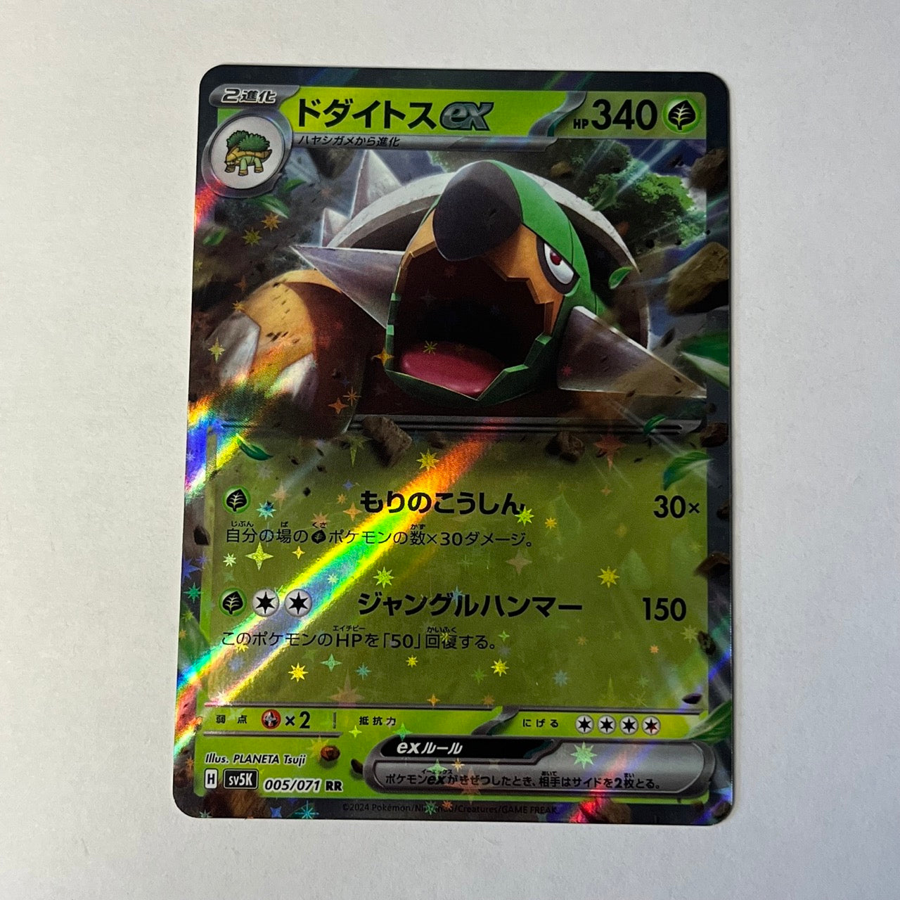 CARTES POKEMON TORTERRA EX 005/071 JAP