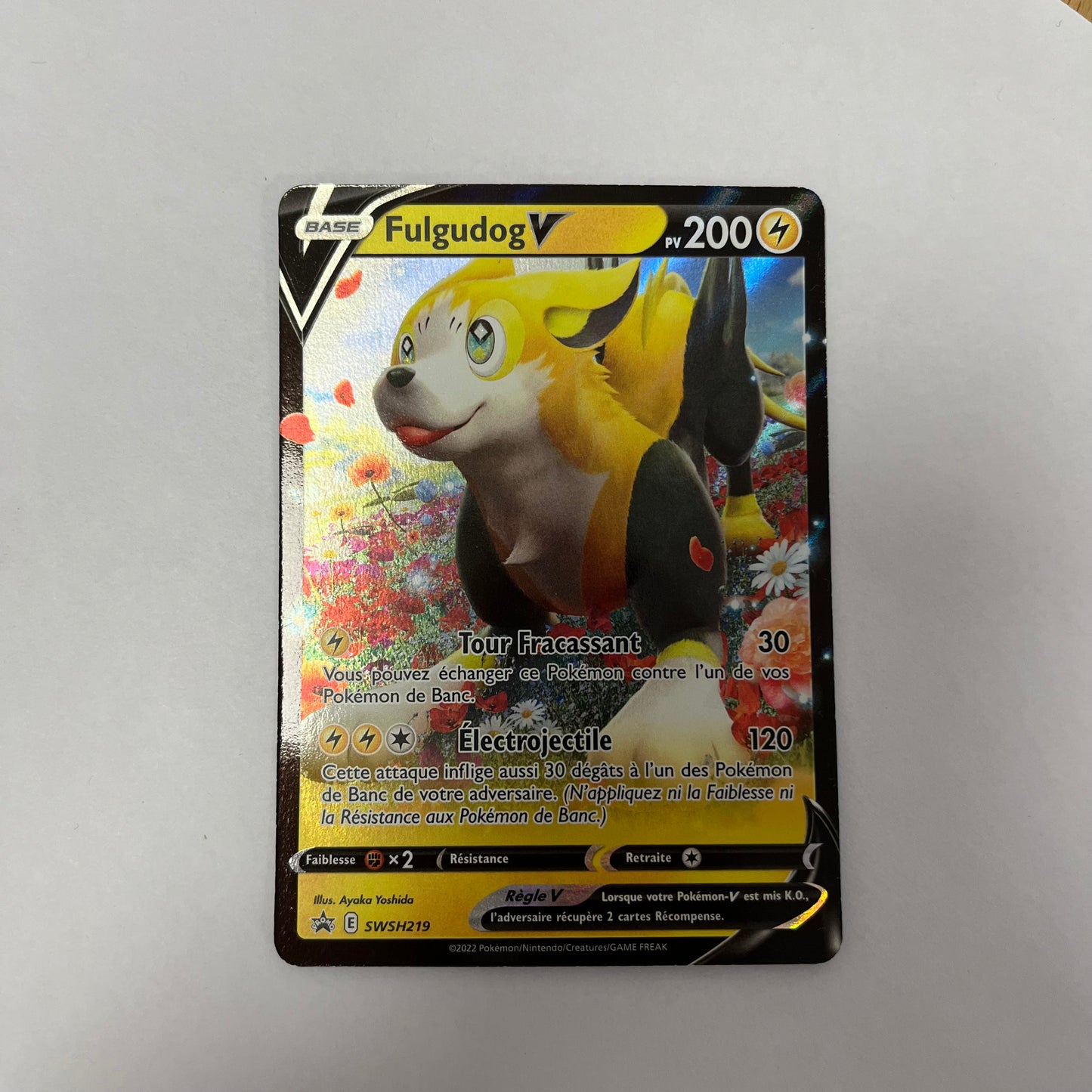 CARTES POKEMON FULGUDOG V SWSH219 FR