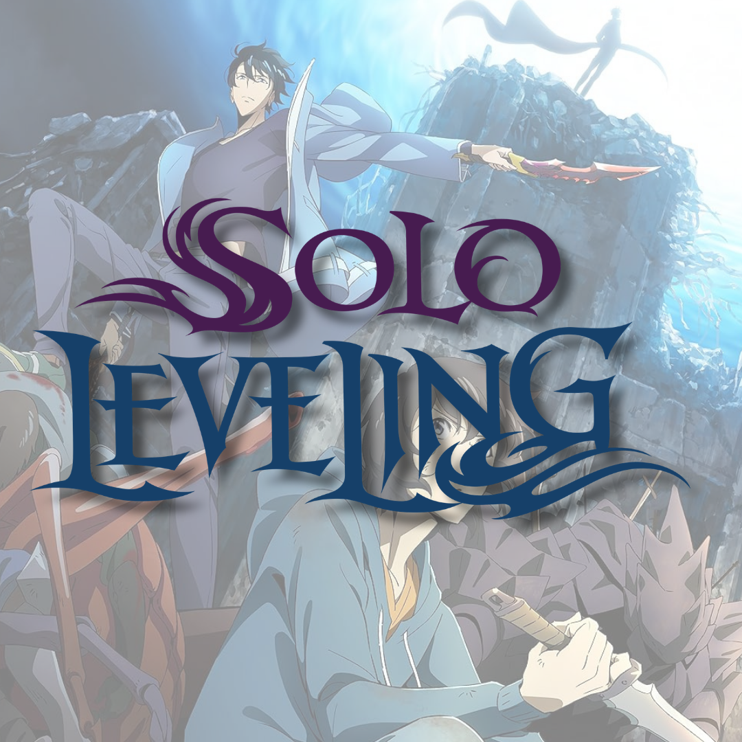 FIGURINES SOLO LEVELING