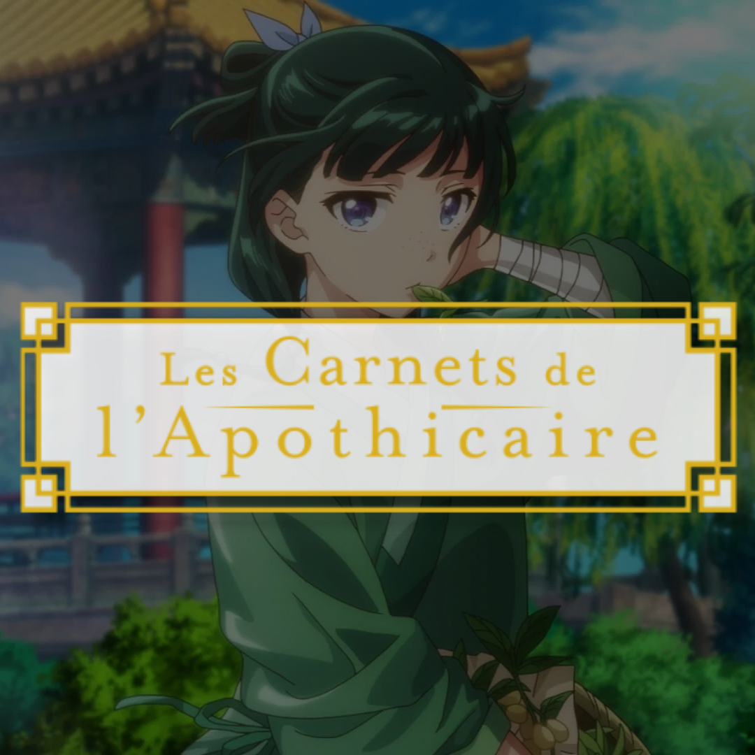 FIGURINES LES CARNETS DE L’APOTHICAIRE