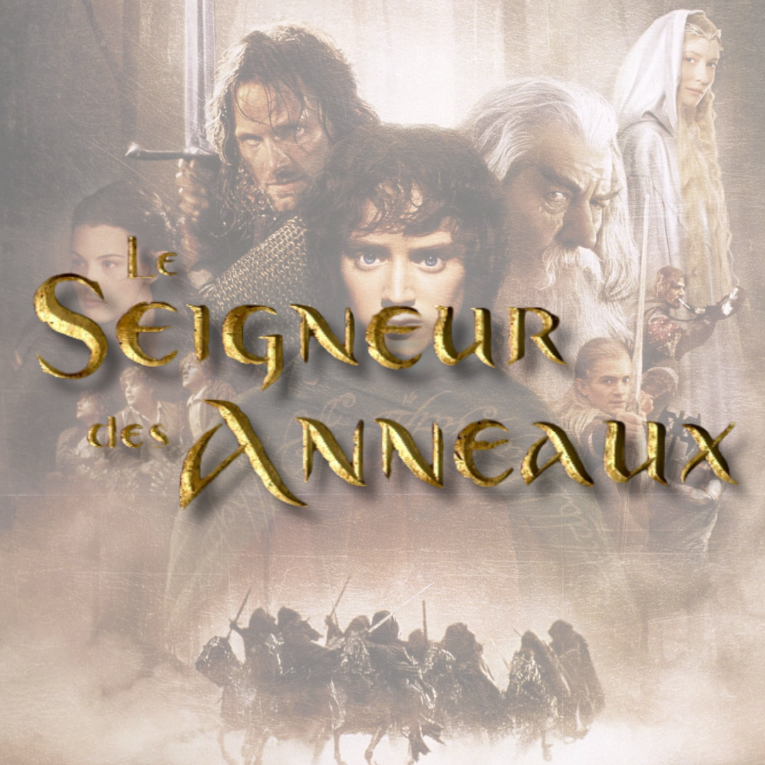 FIGURINES SEIGNEUR DES ANNEAUX