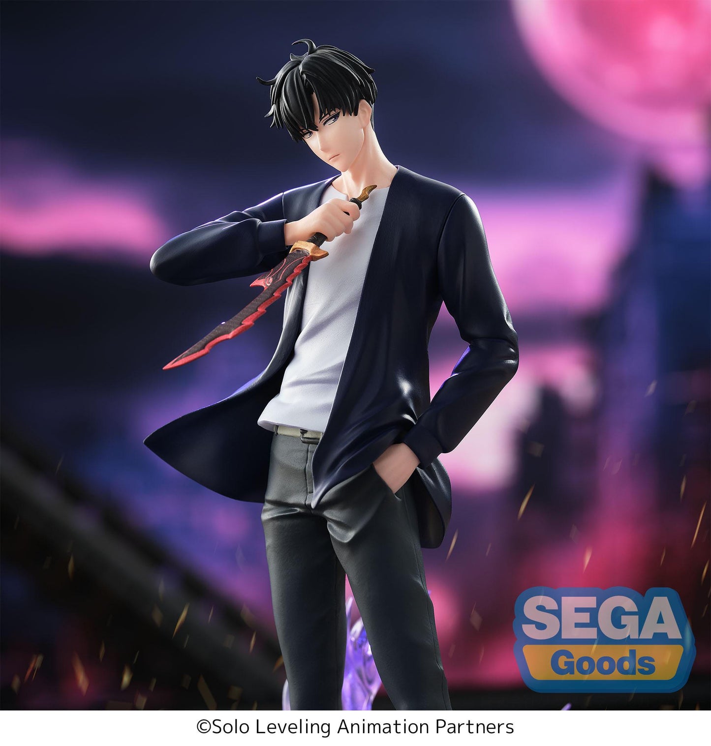 SOLO LEVELING SUNG JINWOO XROSS LINK